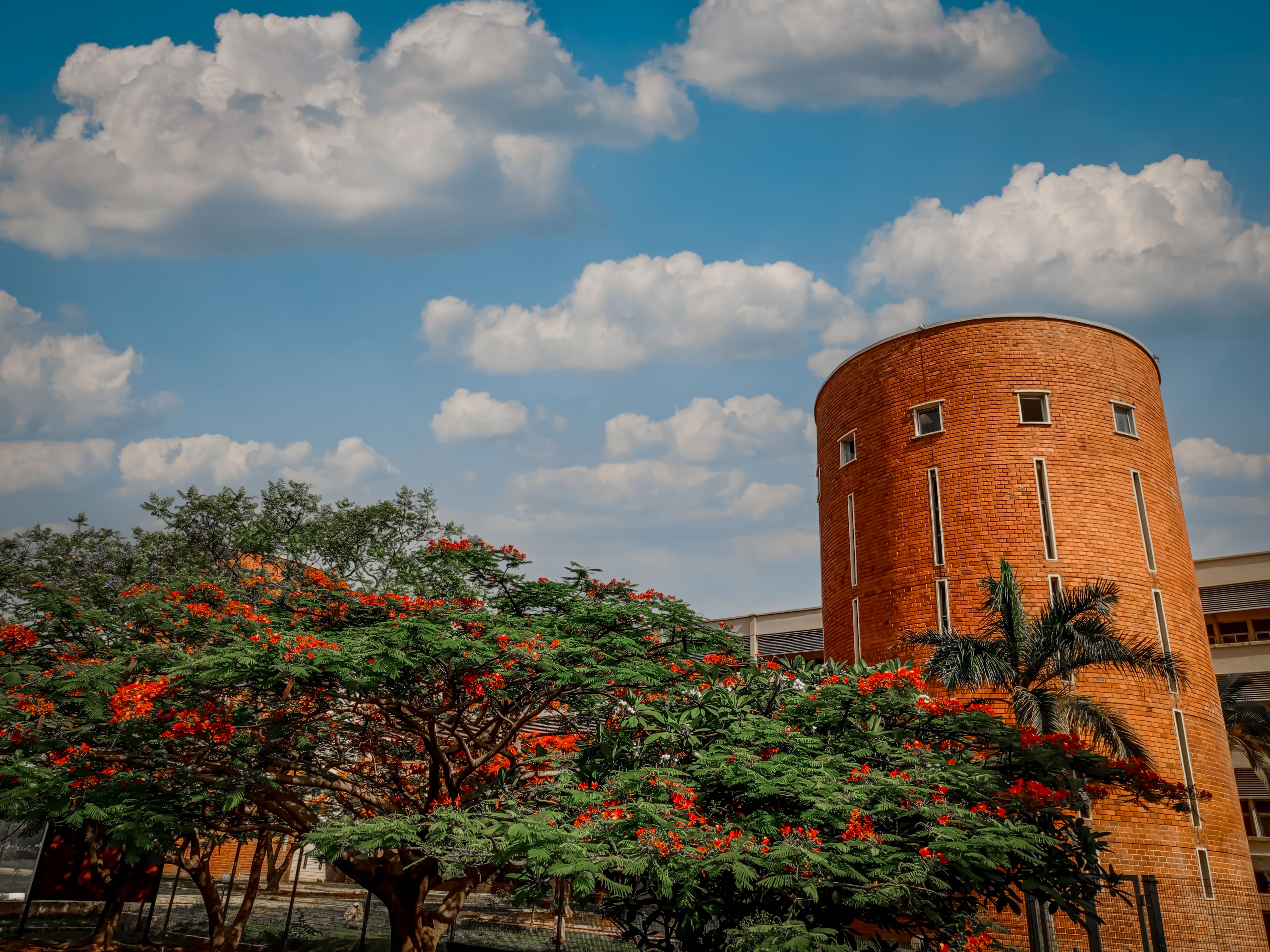 University of Jos library